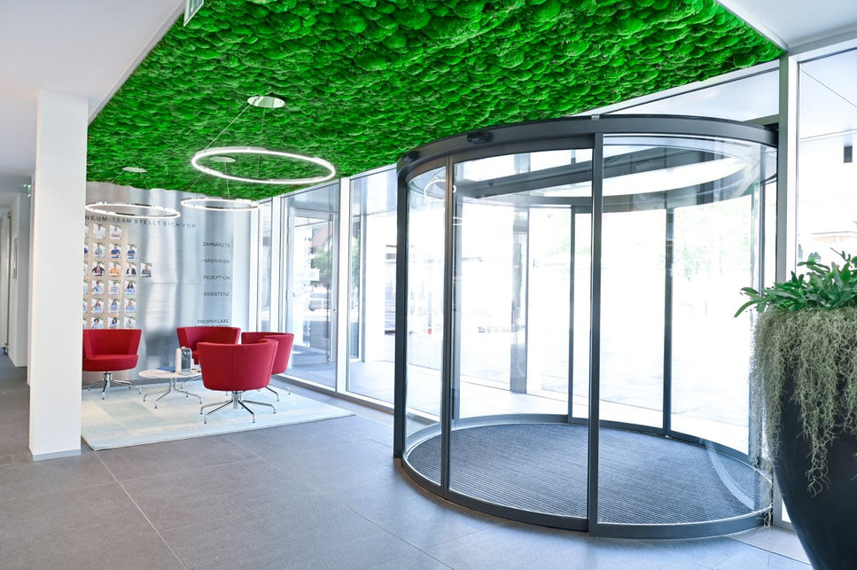 Moosdecke Mooswand Dream in Green