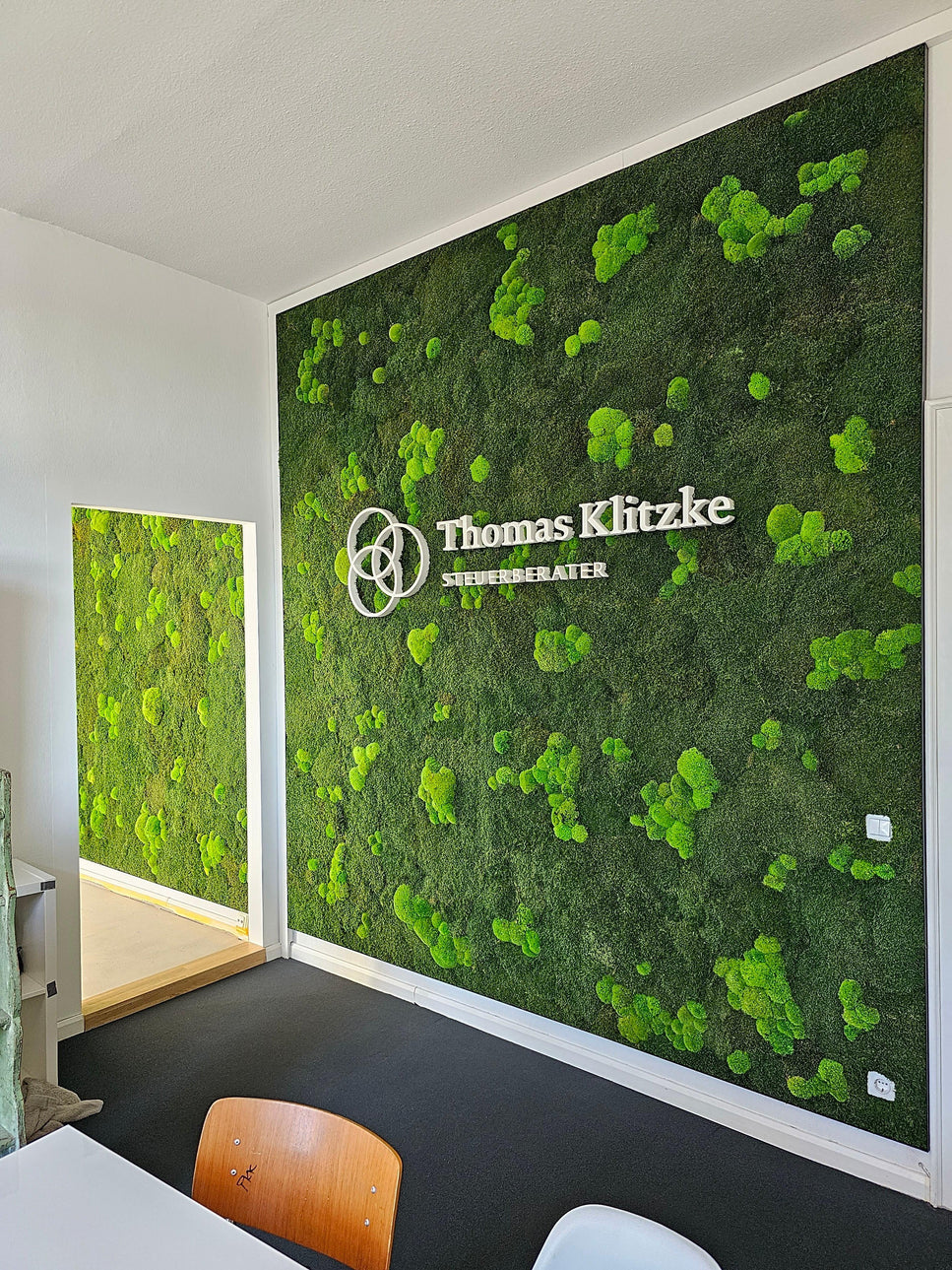 20230907_170949 - Dream in Green