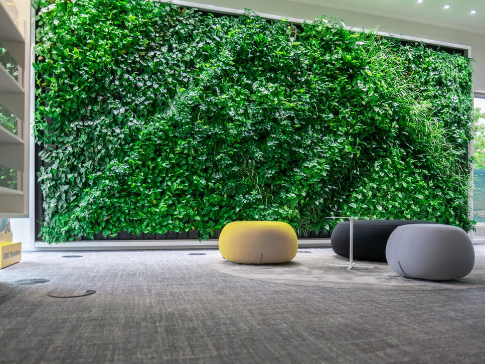 Pflanzenwand ADAC Filiale Pforzheim