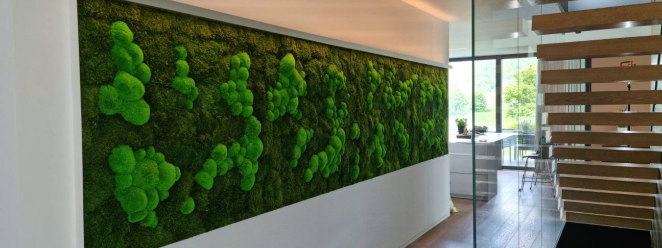 Moosbild Mix-Moos im Eingangsbereich eines Hauses