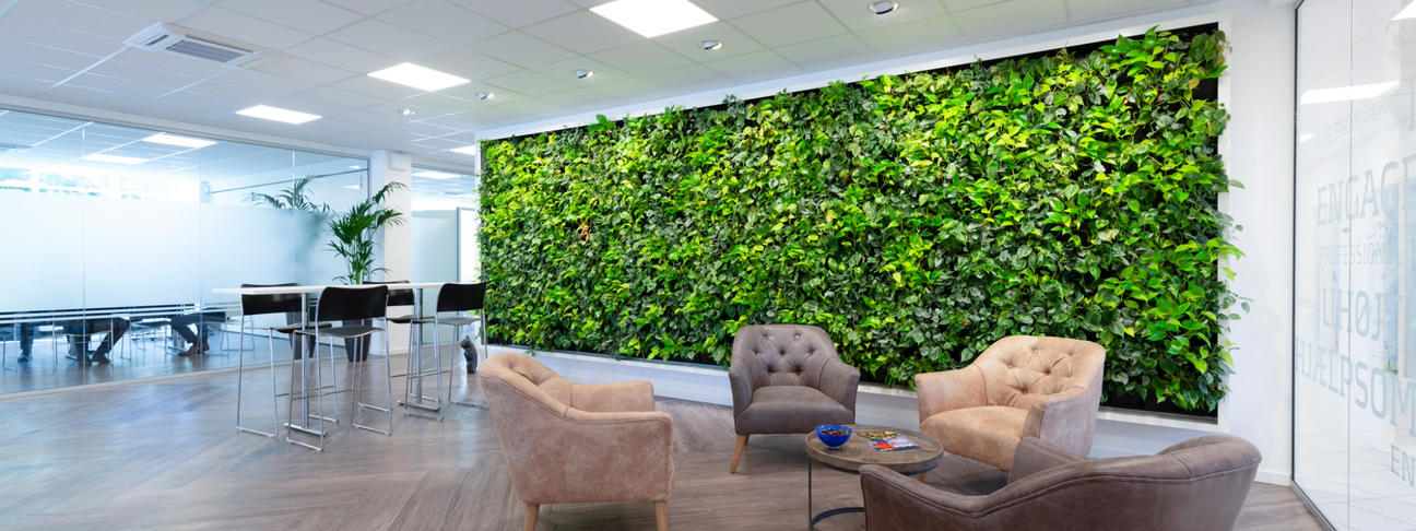 Pflanzenwand im Foyer