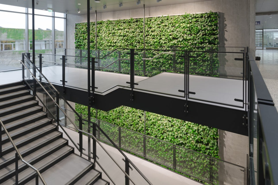 große Vertikalbegrünung in Eingangsbereich