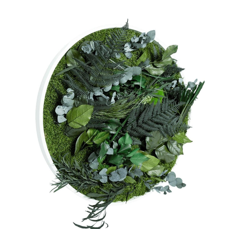 Dschungelbild 60 cm RUND - Dream in Green