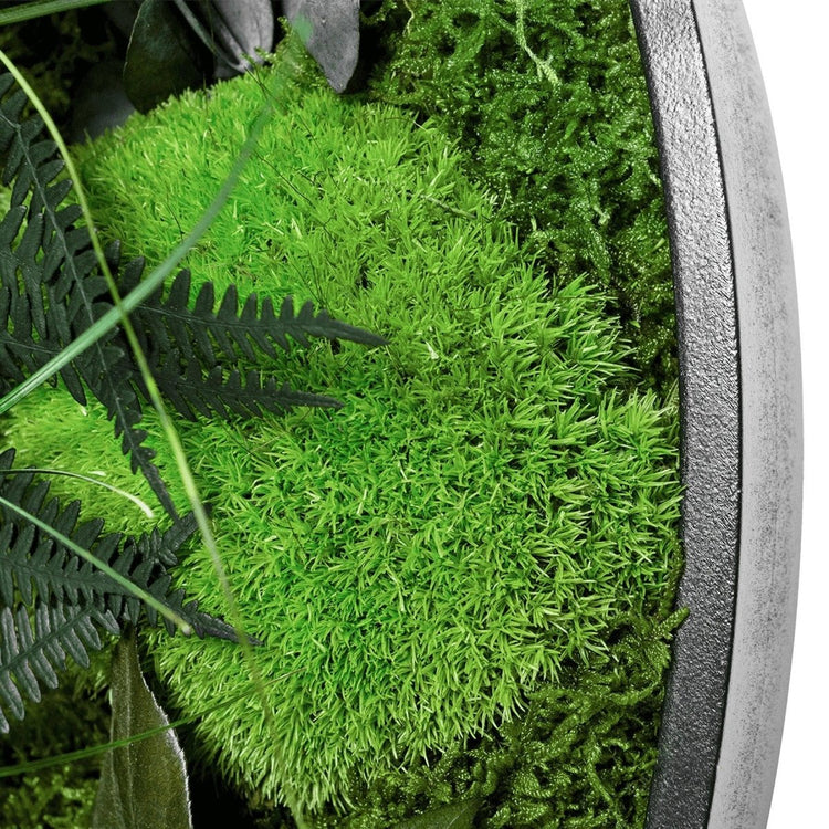 Dschungelbild 80 cm RUND - Dream in Green