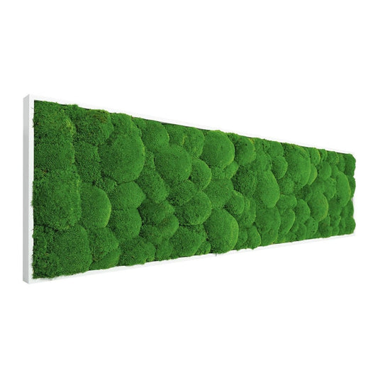 Moosbild Hügelmoos 150x50cm - Dream in Green
