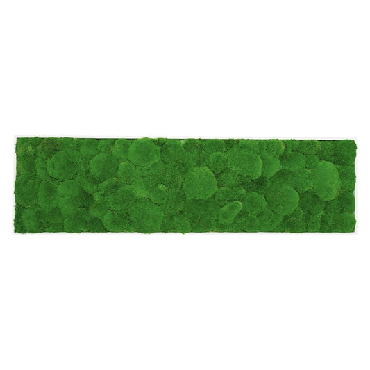 Moosbild Hügelmoos 150x50cm - Dream in Green