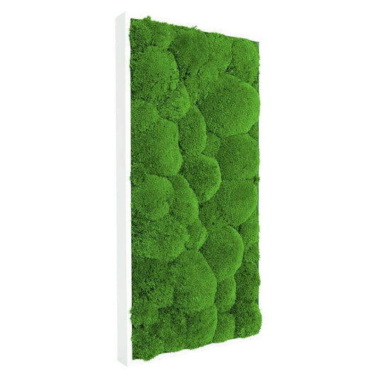 Moosbild Hügelmoos 50x25cm - Dream in Green
