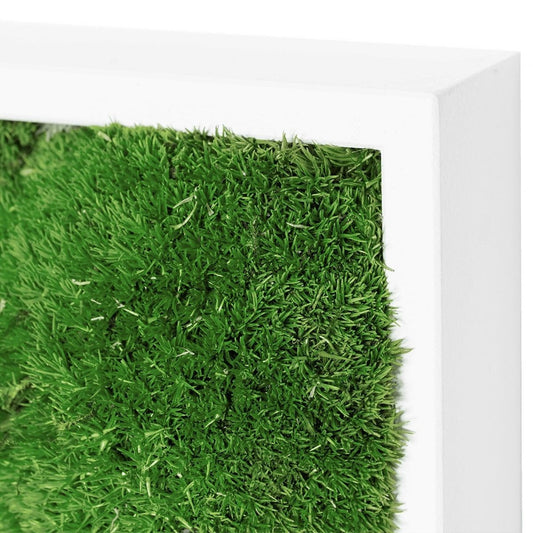 Moosbild Hügelmoos 75x75cm - Dream in Green