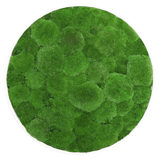 Moosbild Hügelmoos Rund 75cm - Dream in Green