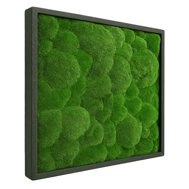 Moosbild Hügelmoos 50x50cm - Dream in Green