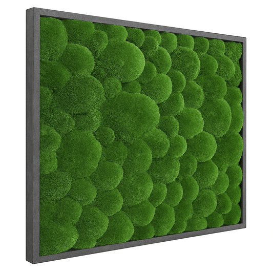 Moosbild Hügelmoos 75x75cm - Dream in Green