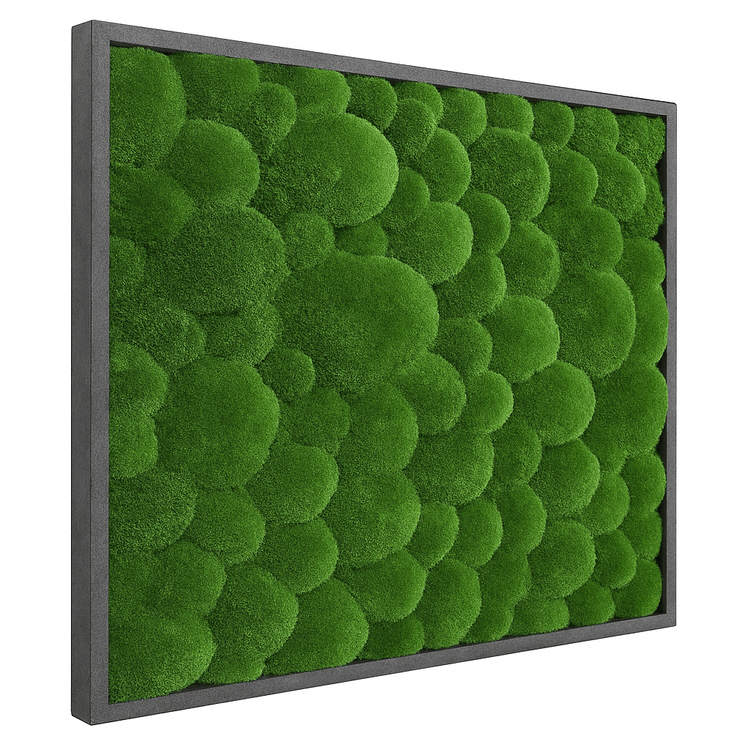 Moosbild Hügelmoos 75x75cm - Dream in Green