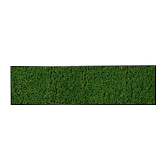 Moosbild Islandmoos 150x50 cm - Dream in Green