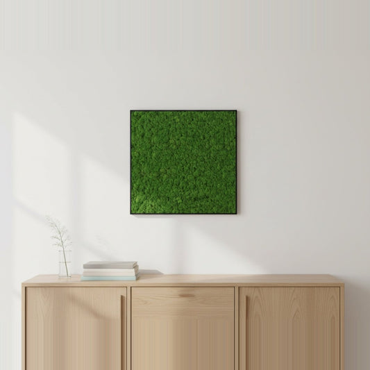 Moosbild Islandmoos 75x75 cm - Dream in Green
