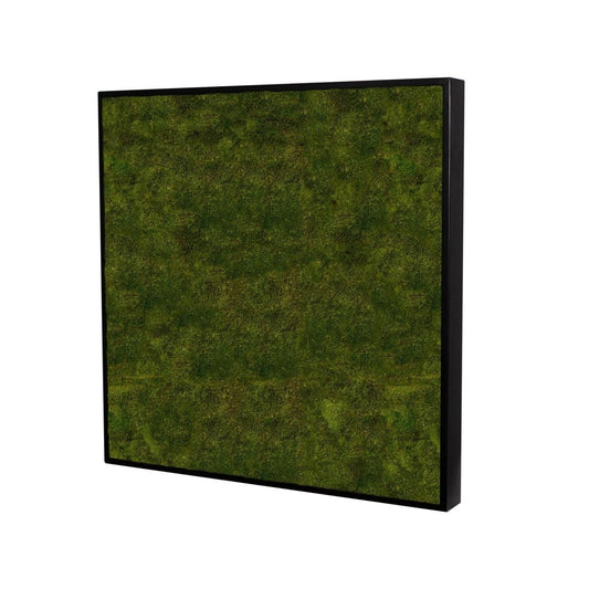 Moosbild Long Moos 80x80 cm - Dream in Green