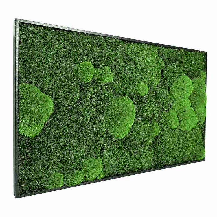 Moosbild Mix-Moos Maßanfertigung - Dream in Green