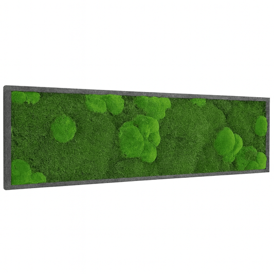 Moosbild Mixmoos 150x50cm - Dream in Green