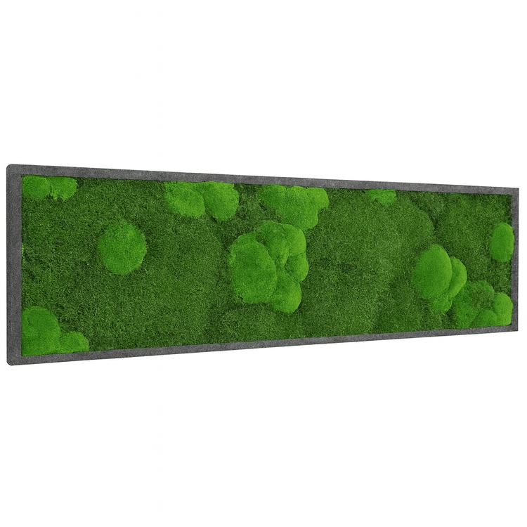 Moosbild Mixmoos 150x50cm - Dream in Green