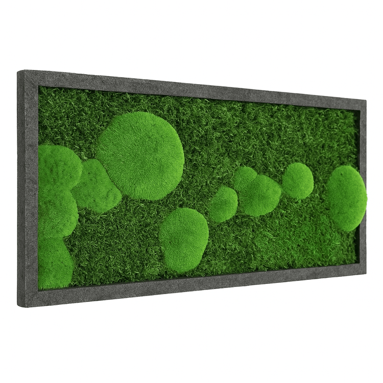 Moosbild Mixmoos 50x25cm - Dream in Green