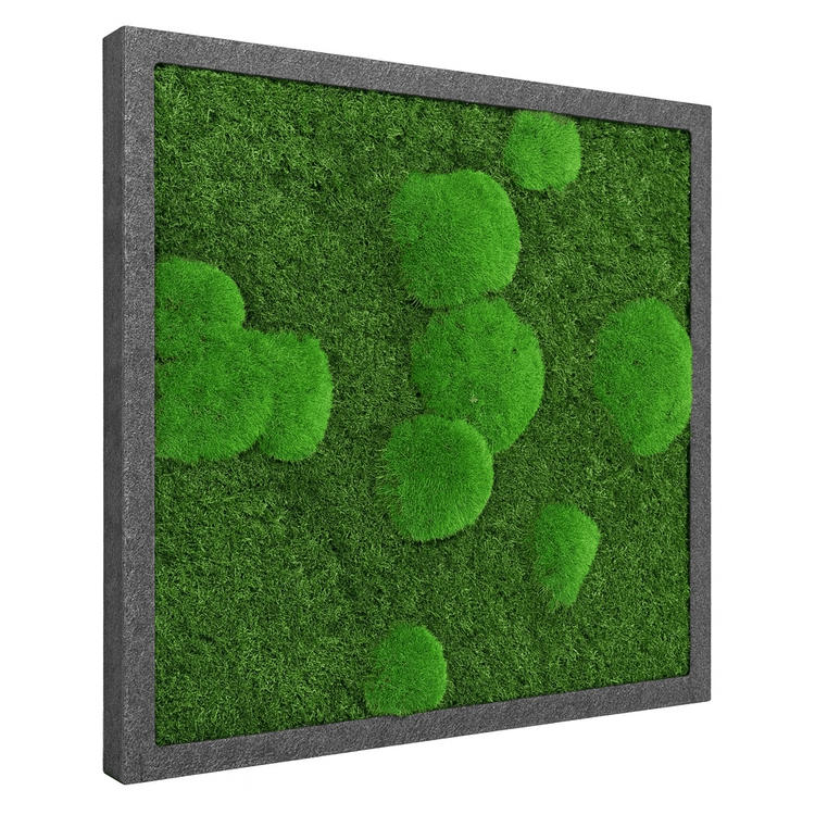 Moosbild Mixmoos 50x50cm - Dream in Green