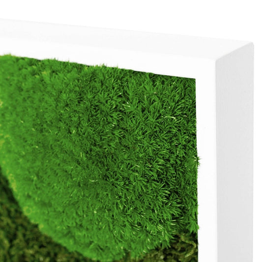 Moosbild Mixmoos 75x75cm - Dream in Green