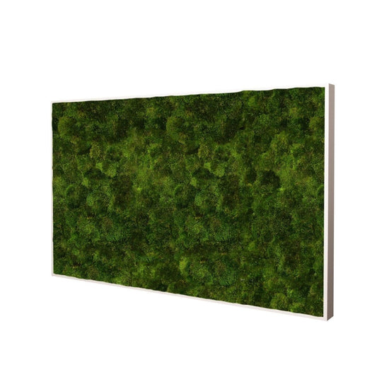 Moosbild Provence 100x60 cm - Dream in Green