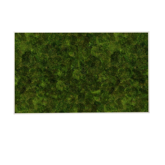 Moosbild Provence 100x60 cm - Dream in Green