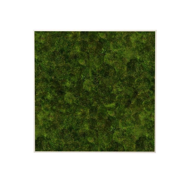 Moosbild Provence 55x55 cm - Dream in Green