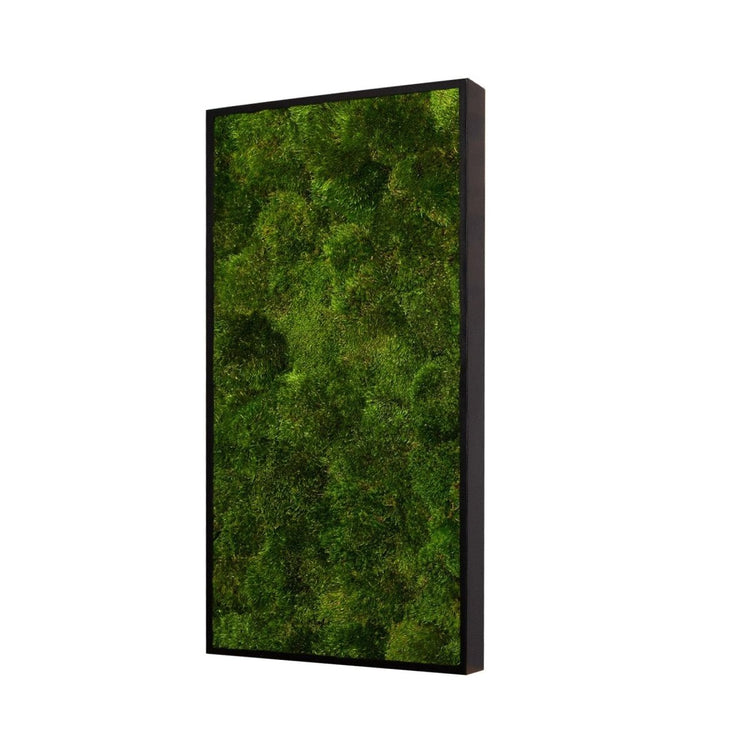 Moosbild Provence Moos 60x30 cm - Dream in Green