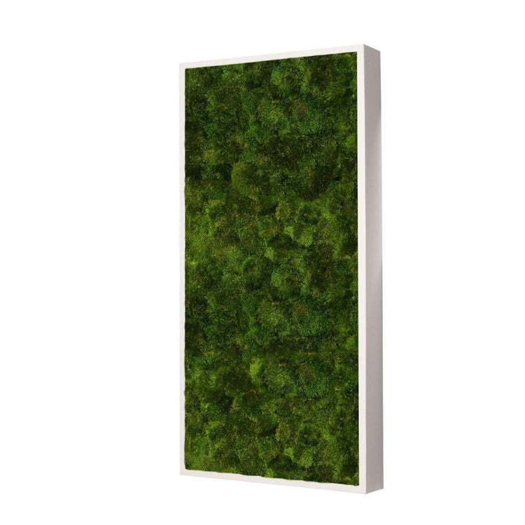 Moosbild Provence Moos 60x30 cm - Dream in Green