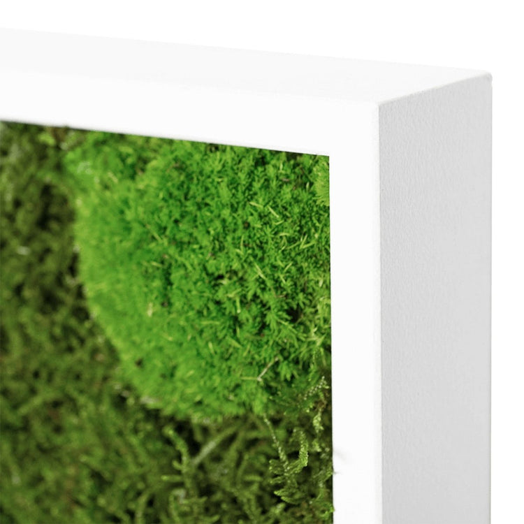 Pflanzenbild 60x30 cm - Dream in Green