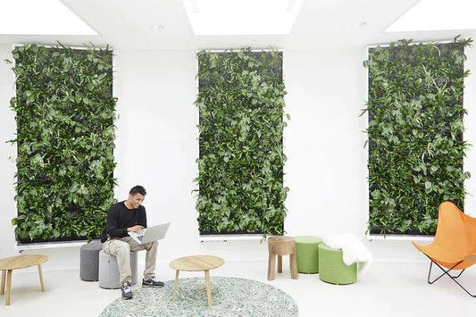 Biophilic Design - eine neue Arbeitswelt - Dream in Green