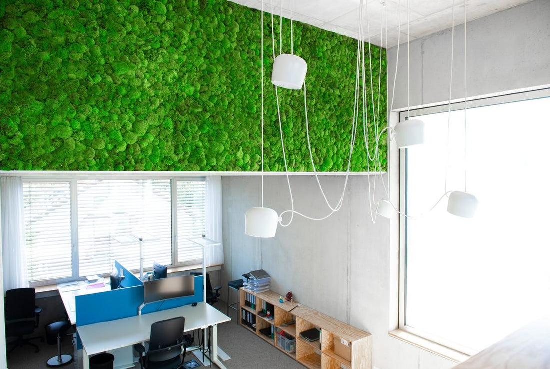 Moos Schallabsorber: Wie ein Akustik-Moosbild den Lärm im Büro senkt - Dream in Green