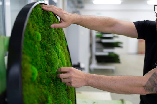 Moosbild-Pflege - Dream in Green