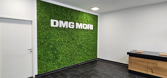 Mooswand Büro: Was kostet das wirklich? (Preisübersicht 2026) - Dream in Green