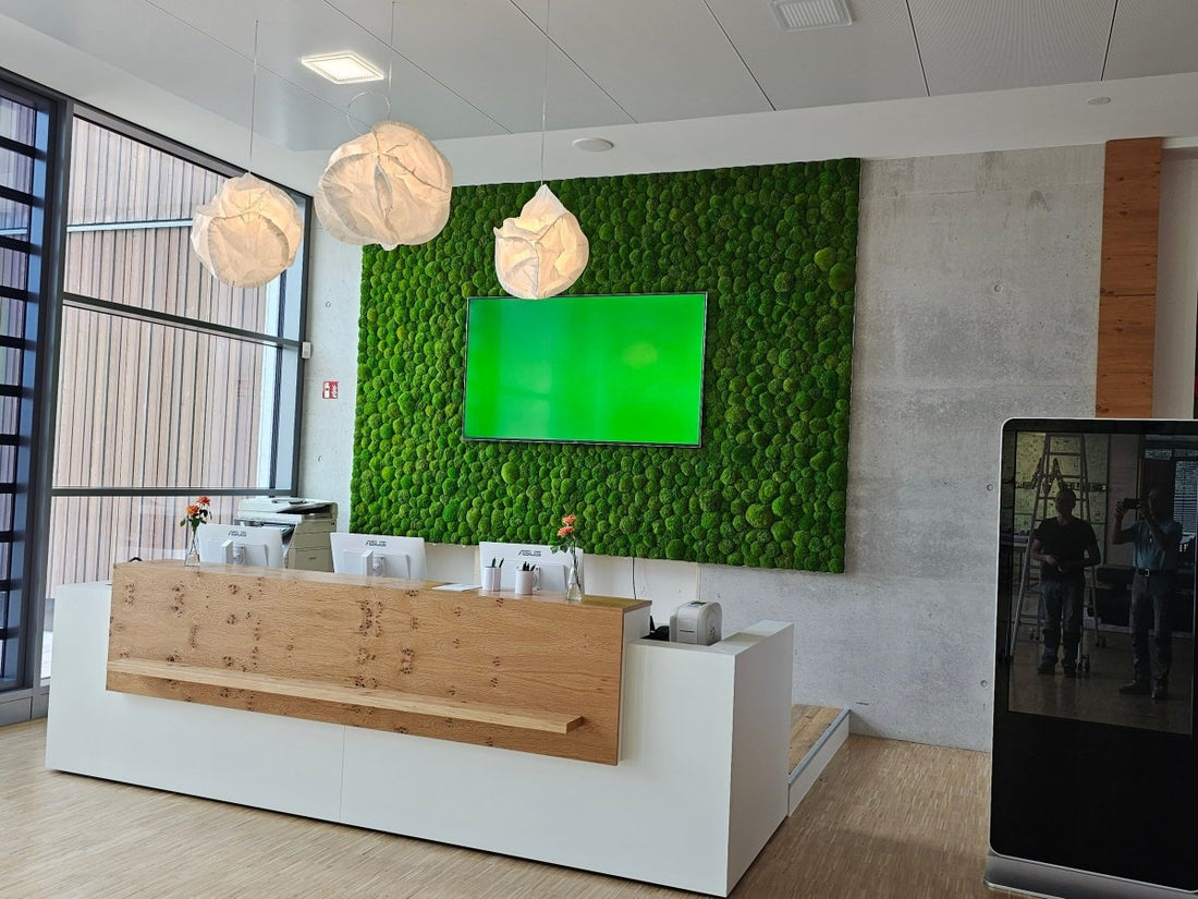 Mooswand Büro: Wie Naturmoos die Produktivität Ihrer Mitarbeiter steigert - Dream in Green
