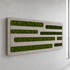 Akustik-Moosbild Lines 140×50 cm - Dream in Green