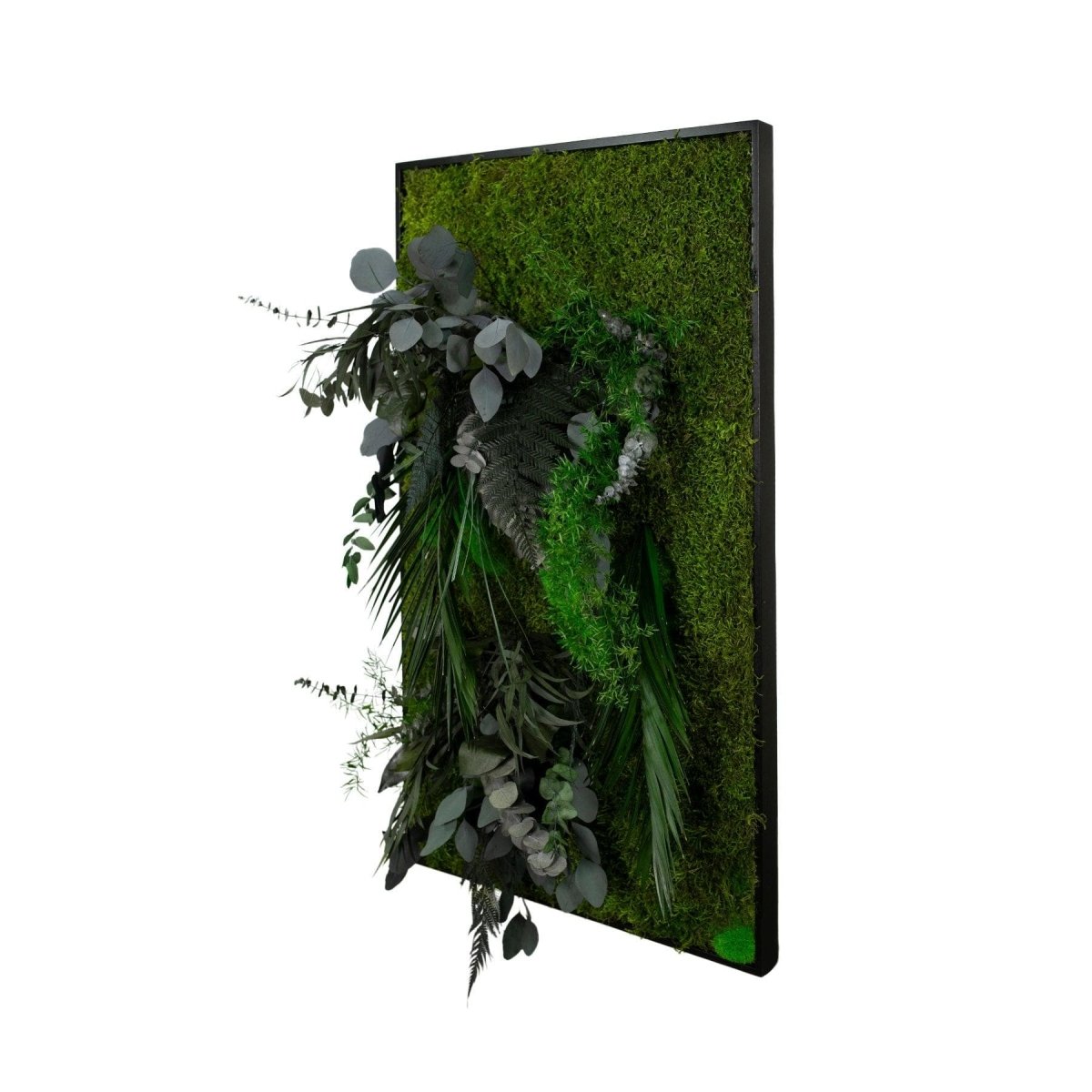 Dschungelbild 100x50 cm schwarz Rahmen – Dream in Green
