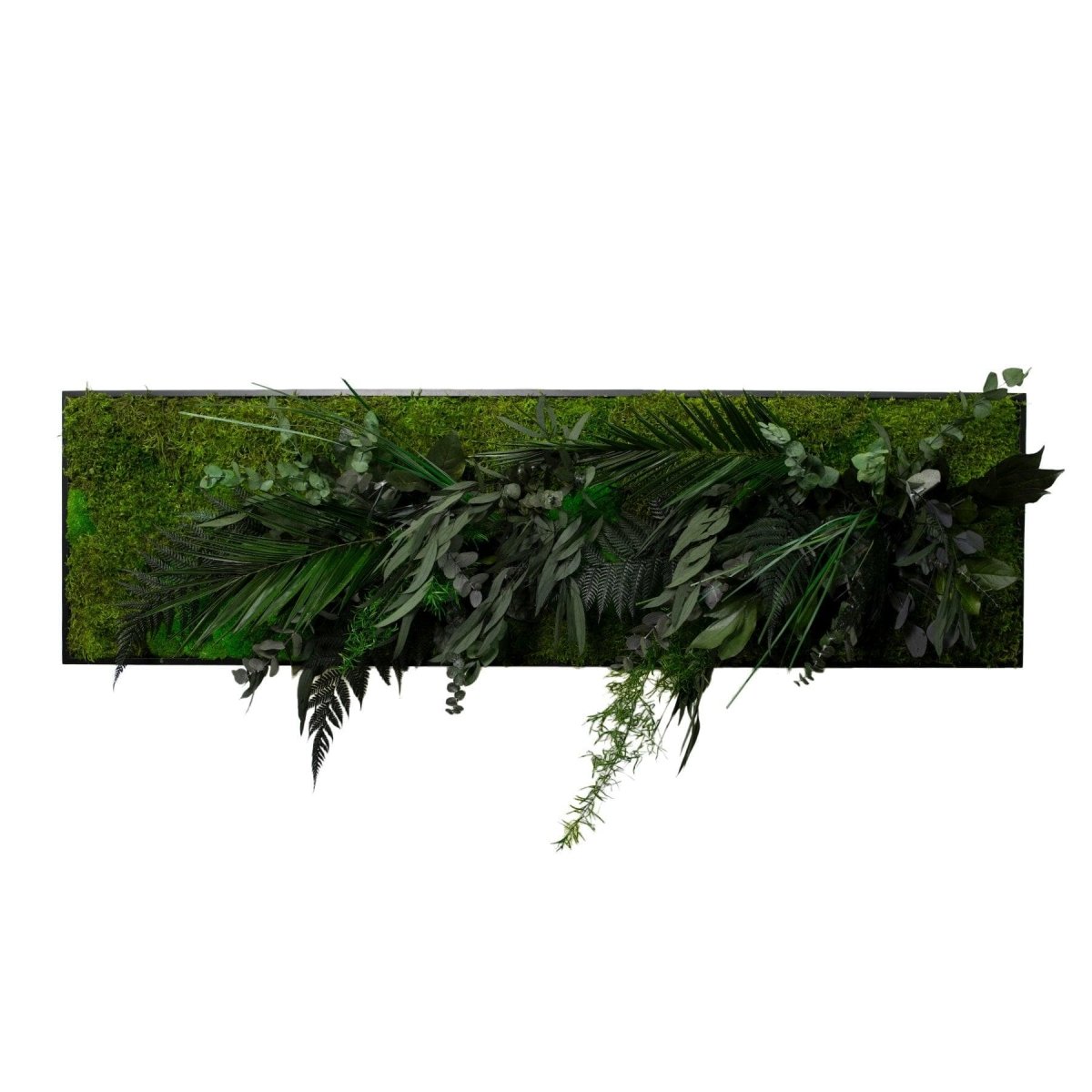 Dschungelbild 150x50 cm Detail konservierte Pflanzen – Dream in Green