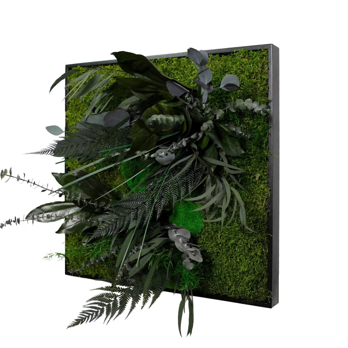 Dschungelbild 50x50 cm weiß Rahmen – Dream in Green