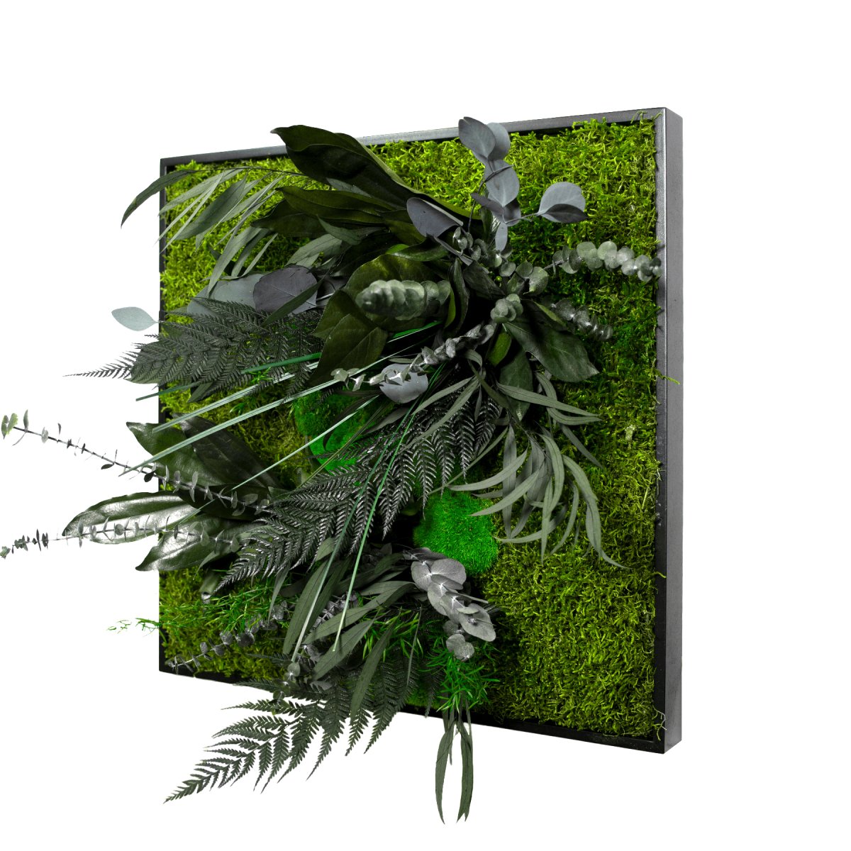 Dschungelbild 50x50 cm quadratisch – Dream in Green