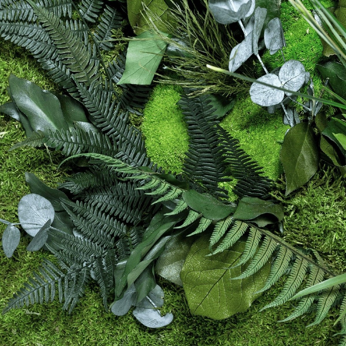 Dschungelbild 60 cm RUND - Dream in Green