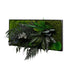 Dschungelbild 60x30 cm - Dream in Green