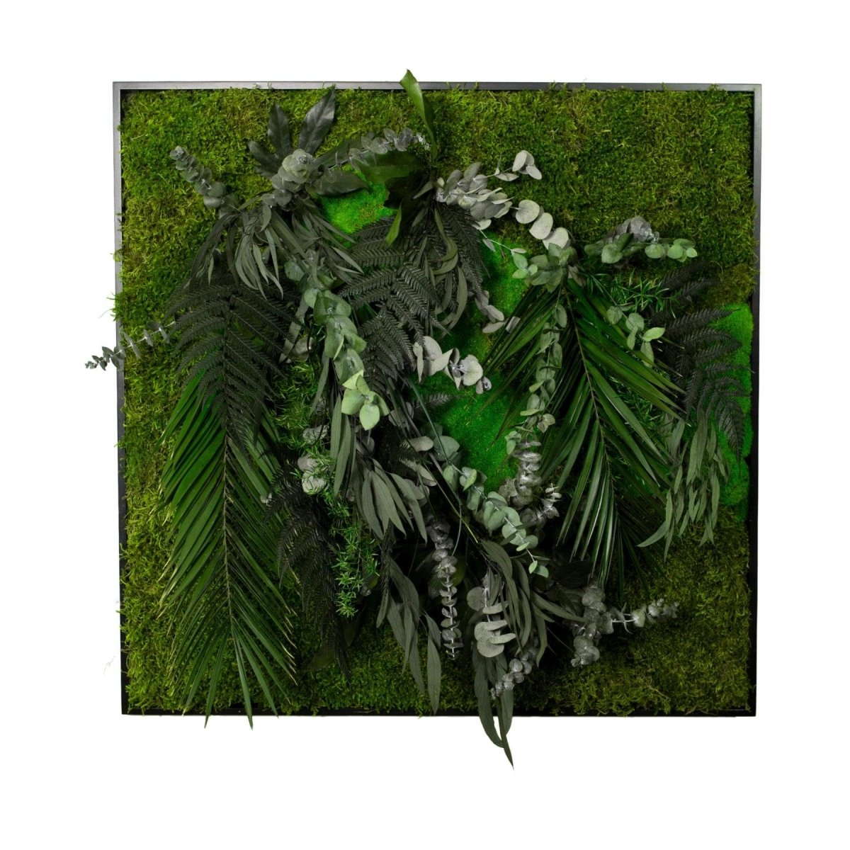 Dschungelbild 75x75 cm schwarz Rahmen – Dream in Green