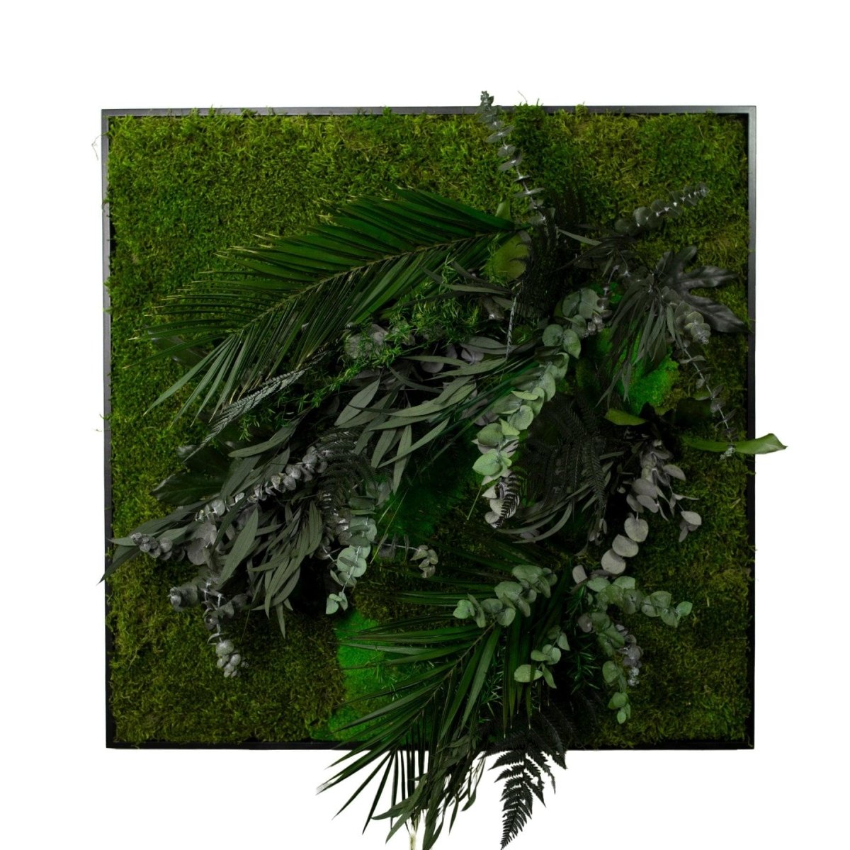 Dschungelbild 75x75 cm Detail Pflanzen – Dream in Green