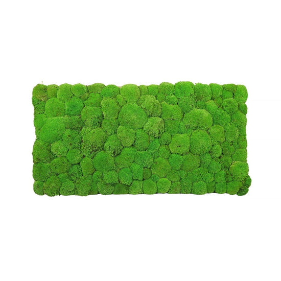 Modul Hügelmoos 100x50 cm - Medium Green - Dream in Green