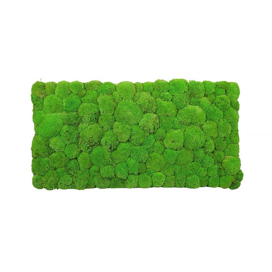 Modul Hügelmoos 100x50 cm - Medium Green - Dream in Green