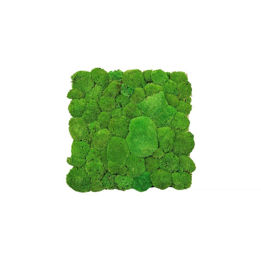 Modul Hügelmoos 50x50 cm - Medium Green - Dream in Green