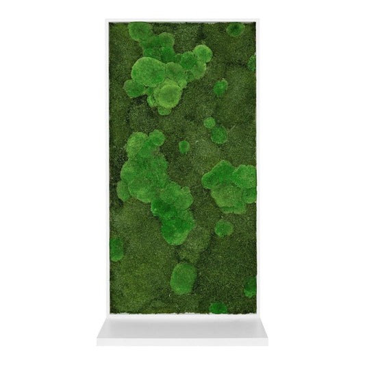 Moos-Raumteiler - Dream in Green