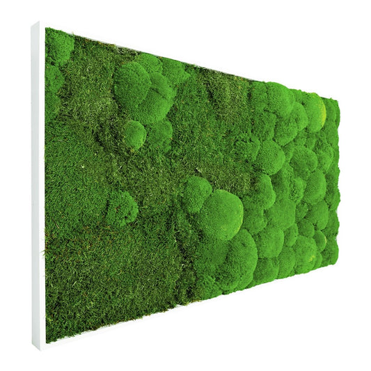 Moosbild "Fusion" 100x60 cm - Dream in Green